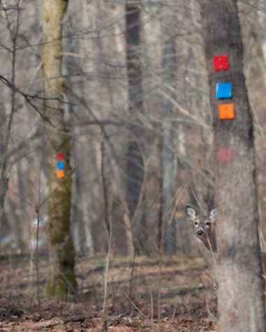 Cedar Creek State Park, Gilmer County, WV