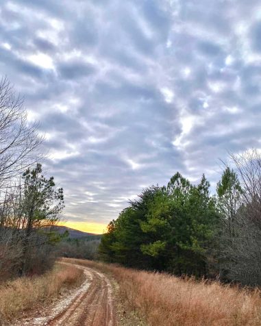 Hughes River WMA, Wirt County, WV